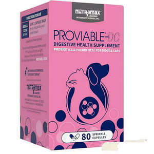 Probióticos Naturales Premium para Perros, Suplementos para Mascotas, Enzimas Digestivas, Cápsulas de Probióticos OEM/ODM para la Digestión Diaria de Mascotas - Product Image 2