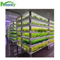 Ferme intelligente NFT expédition hydroponique verticale conteneur agricole système hydroponique NFT