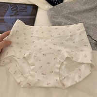 Culottes en coton à manches longues pour femmes, avec maintien des hanches, coupe plate, taille moyenne, grande taille jusqu'à 100 kg