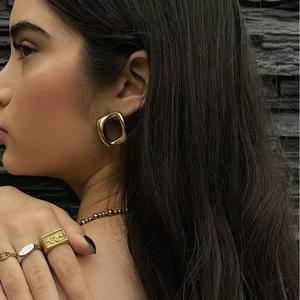 Geometric Stainless Steel <b>Stud</b> Earrings Irregular Circle <b>Titanium</b> Steel Fashion Elegant Earrings For Women - Product Image 2