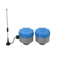 Capteur de niveau radar LoRaWAN haute précision 60 GHz EM41x-RDL 0,3-12 m IP68, transmetteur de surveillance à distance pour réservoir industriel