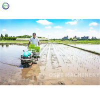 Petite machine à planter le riz, semoir manuel, transplanteur de riz, planteur de riz, machine à planter le riz
