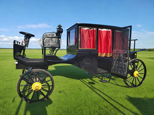 Vehículo Utilitario, Precio de Fábrica, Escultura de Carruaje sin Caballos, Carruaje Real, Transporte Eléctrico Especial - Product Image 3