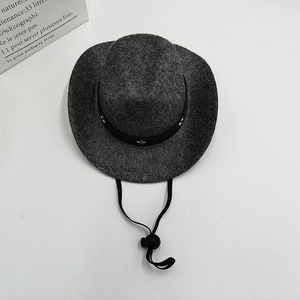 Chapeau de cowboy occidental Baboney avec motif de dessin animé pour fête d'anniversaire, protection solaire toutes saisons, mini chapeau en feutre pour chiens et chats - Product Image 6
