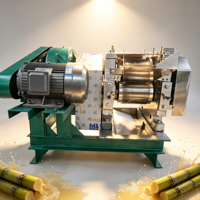 Best verkochte industriële grote automatische fruit- en groente-suikerrietpers van roestvrij staal, 5,5 kW, 380 V, voor restaurantgebruik