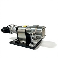 Pompe doseuse à engrenages de haute précision en fer/SUS304/SUS316 avec servomoteur pour distribution de liquides visqueux, fabriquée en Chine