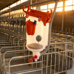Nouvelle ligne d'alimentation automatique pour élevages porcins, distributeur de nourriture pour truies avec gobelet doseur 6L 8L en PP, personnalisable OEM - Product Image 1