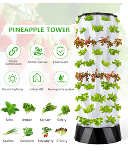 Intérieur Extérieur Automatique Jardin Système Hydroponique Herbes Légumes Nouvelle <span class=keywords><strong>Pompe</strong></span> D'<span class=keywords><strong>arrosage</strong></span> Boîte De Vitesses Lumière Ananas Tour - Product Image 2