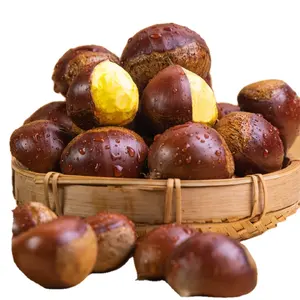 Snacks food Wholesale price Organic Roasted Packed chestnuts peeled Fried chestnuts