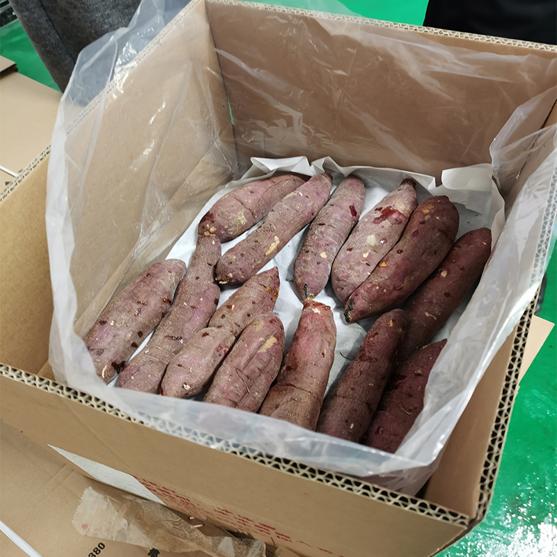 Professional Sweet Potato Supplier Dried in