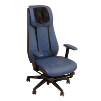 Fauteuil de massage chiropratique portable professionnel avec chaleur et airbags pour usage patient
