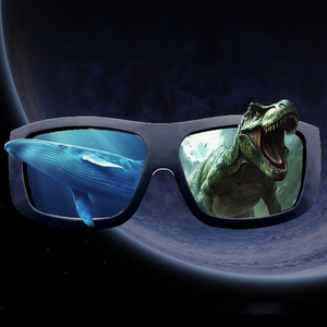 Kính 3D phân cực tuyến tính thụ động 0-90 135 cho các công viên giải trí rạp chiếu phim 3D/4D/5D/9D khác nhau - Product Image 6