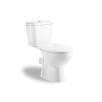 Salle de bains Europe Type WC Toilette Wash Down P Trap Ensemble de toilette deux pièces comprenant lavabo et bidet Prix économique Articles sanitaires