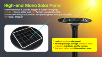 Lampe solaire à économie d'énergie pour extérieur, IP65 étanche, matériau ignifuge V0, garantie 3 ans pour aménagement paysager, patio et allée