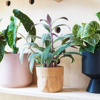 Pots de fleurs en papier kraft pour plantes d'intérieur, sac en papier kraft réutilisable, organisateur et pot de fleurs