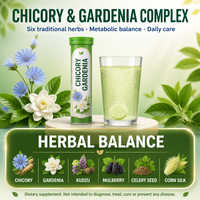Comprimés Effervescents aux Plantes Chicorée Gardénia Pueraria Feuille de Mûrier Soie de Maïs pour l'Équilibre de l'Acide Urique et le Métabolisme Corporel Adulte 20