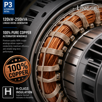 Groupe électrogène diesel silencieux 120 kW 150 kVA 200 kW 250 kVA, moteur LINGGE, triphasé 480 V 50/60 Hz, insonorisé, pour usage industriel
