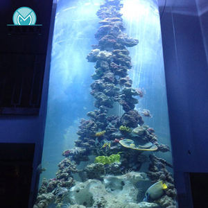 Fabrikant Directe Verkoop Eco-Vriendelijke Acryl <span class=keywords><strong>Aquarium</strong></span> <span class=keywords><strong>500</strong></span> <span class=keywords><strong>Gallon</strong></span> Custom <span class=keywords><strong>Aquarium</strong></span> - Product Image 6