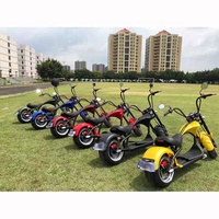 Scooter Citycoco Dogebos EEC COC 2000W avec grand siège, moto électrique pour adultes