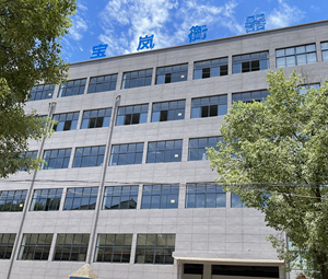 BL-1608 2022 Nâng Cấp Quy Mô Phòng Tắm Sản Xuất Trực Tiếp Cân Kỹ Thuật Số Máy Đo Nhiệt Độ Phòng Giá Rẻ - Product Image 6