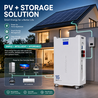 Batterie Lithium Fer Phosphate Hybride Extérieure 16 kWh 51,2 V 314 Ah Solaire Intelligente Wi-Fi Empilable 8000 Cycles Fiable