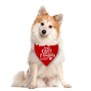 Écharpe <span class=keywords><strong>pour</strong></span> <span class=keywords><strong>chien</strong></span> en polyester à thème de Noël d'hiver, tendance écologique transfrontalière, triangle <span class=keywords><strong>pour</strong></span> animaux de compagnie sur la <span class=keywords><strong>liste</strong></span> des rebelles - Product Image 4