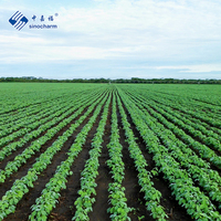 Sinocharm Edamame Desgranado Congelado IQF, Soja No Transgénica Rica en Fibra para Preparación de Comidas Saludables, Venta al por Menor
