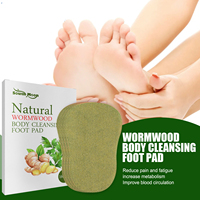 G09 Offre Spéciale : Patchs Détoxifiants Corporels Jetables à l'Armoise Chinoise pour le Corps et les Pieds, Soulagement de la Douleur, Capacité 10ml