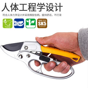 Tijeras de podar de bypass de venta directa de fábrica, capacidad de corte de 18 mm, herramientas de jardín de acero inoxidable, color gris, para podar árboles - Product Image 2