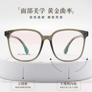 Montures de lunettes de vue Danyang Fashion 28027, ovales, monture complète, légères, unisexes, en résine - Product Image 5