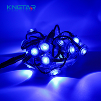 Lampes LED RGB à pixels en aluminium IP67 de haute qualité, 24V, module de 30 mm, pour enseignes publicitaires de parcs à thème, points lumineux haute précision
