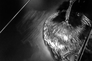 Cho Xpel Chất Lượng 8.5 M Tự Chữa Bệnh Ppf TPU UV Bằng Chứng 15.2*15M Bọc Cho Xe Ô Tô 10 Năm Cắt Bảo Vệ Cơ Thể Phù Hợp - Product Image 2