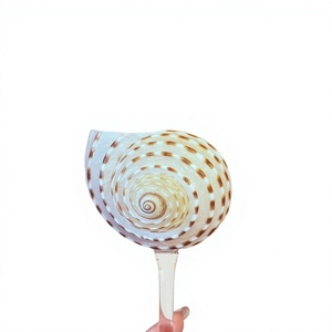 Handmade <b>Plastic</b> Bohemian Seashell <b>Mug</b> with Tray on Party Gold Stand Eco-Friendly Decor Gift Item - Product Image 1