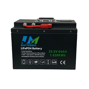 24V 25.6V Lifepo4 Batterie Packs Lithium 100Ah 200Ah Lifepo4 LFP Batterie pour Solaire RV Caravane Marine Trolling Camper Van - Product Image 2