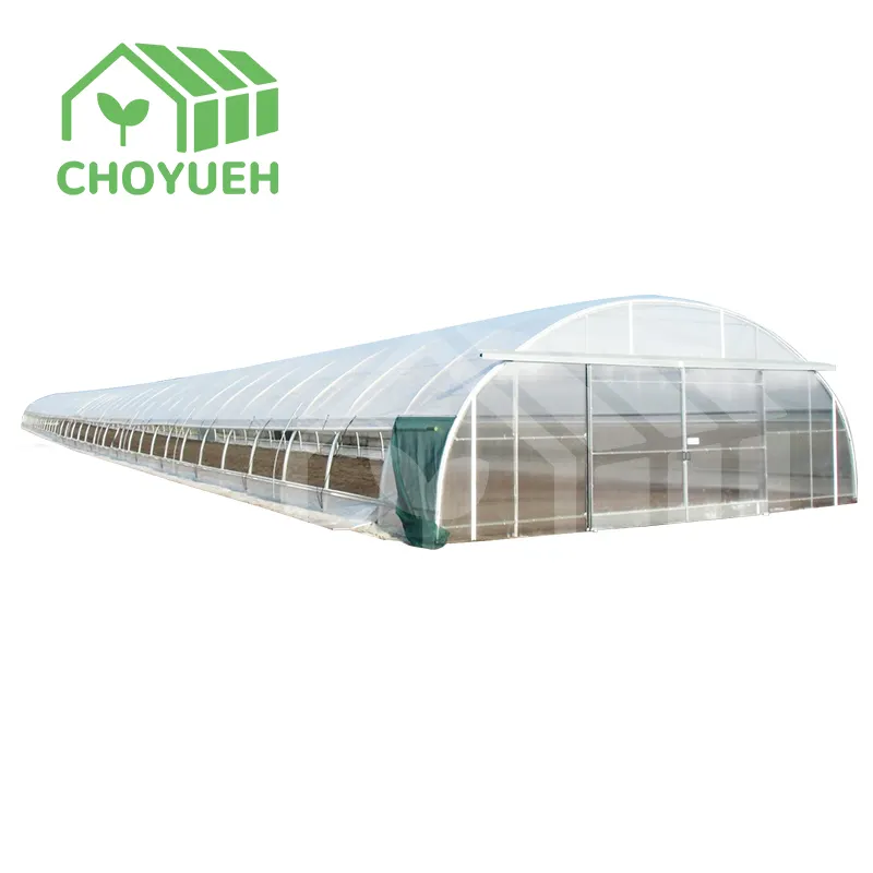 إطار من الصلب المجلفن عالي المتانة للمنزل الأخضر ذو نطاق فردي من البولي التنين التجاري الزراعي
