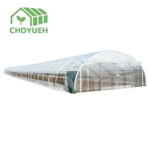 Высокопрочный промышленный сельскохозяйственный Поли Туннель однопролетный зеленый дом оцинкованная стальная рама