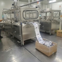 Machine de remplissage aseptique entièrement automatique pour sacs BIB, haute capacité, pour produits laitiers, protéiques, acides et neutres, CIP/SIP FDA