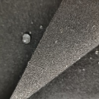 Tissu de bâche imperméable en toile de polyester large résistant à la déchirure très lourd 500gsm pour une utilisation en extérieur