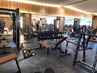 Équipement de gym multifonctionnel pour usage domestique, entraîneur fonctionnel, équipement de gym pour usage commercial, banc inclinable