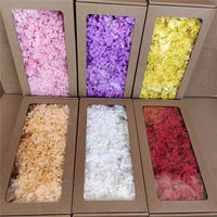 Pétales d'hortensia éternels en vrac avec boîte – Matériel floral préservé coloré pour décoration DIY – Vente chaude