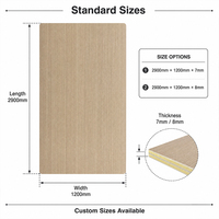 Panneau de protection murale intérieur haute résistance aux chocs, plaque de protection anti-rayures en PVC pour la décoration intérieure des hôtels et hôpitaux