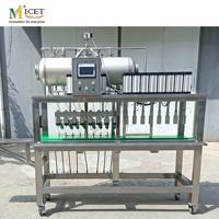 Machine de remplissage isobare personnalisée 300BPH 500BPH 800BPH pour bouteilles en verre, système de remplissage de bière et de boissons liquides à petite échelle