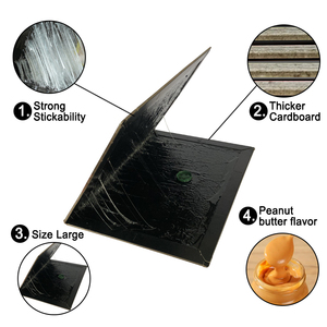 Piège à souris et rats en colle pour dortoir et maison, sûr, pratique, forte adhérence, pour petits espaces, outils de lutte antiparasitaire intérieur - Product Image 4