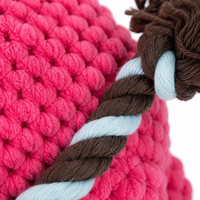 Jouet à mâcher interactif pour chien en forme de girafe, en peluche, avec queue en corde, pour petits et moyens chiens, pour le nettoyage des dents
