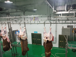 Rail de transport de traitement pour abattoir de bétail halal équipement de <span class=keywords><strong>boucherie</strong></span> équipement de traitement pour abattoir de bétail - Product Image 3