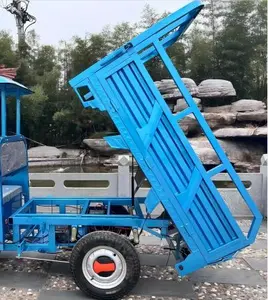 New Design Enclosed Body Electric Tricycle 2 Doors Tricycle China New Adult Tricycle Electric 3 Wheels With High Quality