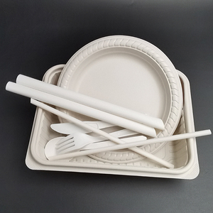 可生物降解食品托盘级玉米淀粉包装板碗环保食品容器餐具