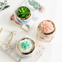 HY198 Pot de jardin succulent Mini Cactus en céramique plante Pots de fleurs support en métal motif Faux marbre décoration de sol de bureau