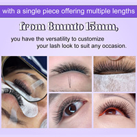 Extensions de cils en forme de U YY 0,07 mm, plateau d'extensions de cils 2D en forme de trèfle, personnalisation gratuite du logo et de l'emballage