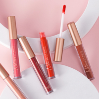 Tube de brillant à lèvres minéral chimique de haute qualité, logo personnalisé, rouge à lèvres liquide mat, écran solaire, imperméable, certifié ISO22716, longue tenue